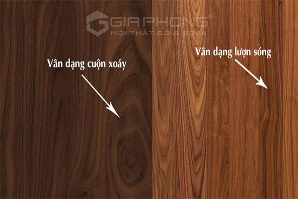 Gỗ óc chó là gì? Cách nhận biết gỗ óc chó
