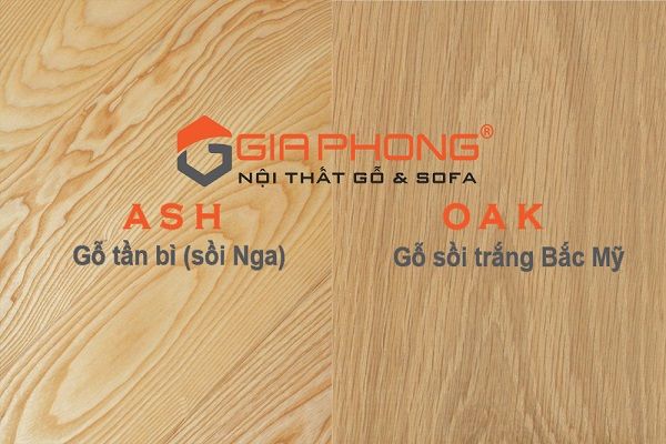 Nên mua nội thất gỗ sồi Nga hay gỗ sồi Mỹ?